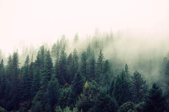 Is biltong environmentally friendly?